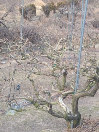 박춘성님의 작성글 사진