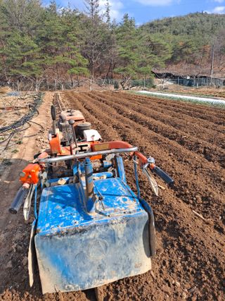 이한재님의 고추 · 영농일지 작성글 사진