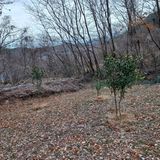 팜모닝 기타작물·영농일지 게시글 이미지