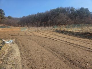 장두학님의 기타작물 · 영농일지 작성글 사진