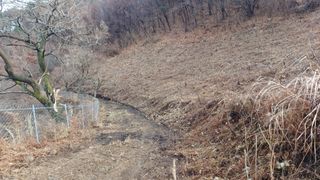 이순기님의 두릅 · 영농일지 작성글 사진