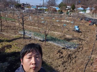 고구마23041님의 포도 · 영농일지 작성글 사진