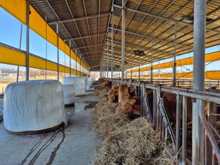 김영천님의 기타작물 · 영농일지 작성글 사진