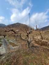 박춘성님의 작성글 사진