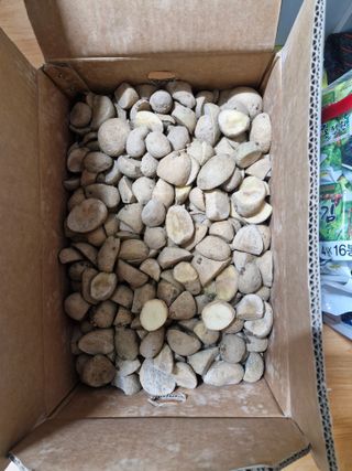 성은모님의 감자 · 영농일지 작성글 사진