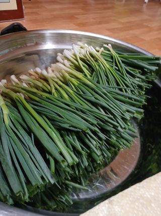 최유순님의 콩 · 영농일지 작성글 사진