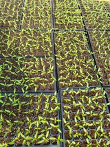 이상욱님의 작성글 사진