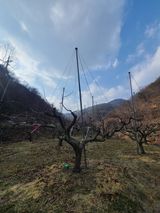 박춘성님의 작성글 사진