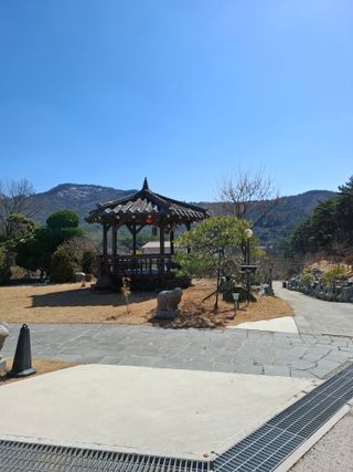 결단이님의 기타작물 · 영농일지 작성글 사진