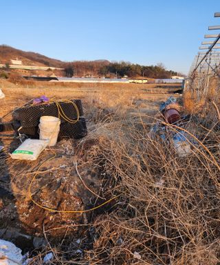 스마일00님의 기타작물 · 영농일지 작성글 사진