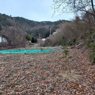 김건우님의 기타작물 · 영농일지 작성글 사진