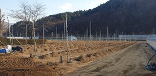 김동진님의 사과 · 영농일지 작성글 사진