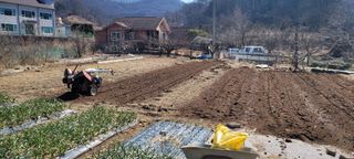 땅땅님의 감자 · 영농일지 작성글 사진