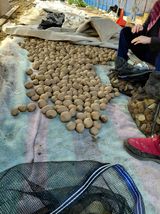 팜모닝 감자·영농일지 게시글 이미지