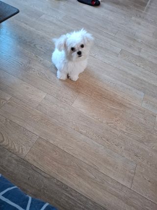 결단이님의 기타작물 · 영농일지 작성글 사진