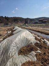 김윤회님의 작성글 사진