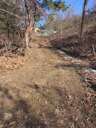 블루베리8034님의 기타작물 · 영농일지 작성글 사진