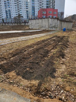 박홍권님의 기타작물 · 영농일지 작성글 사진