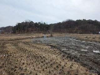 최경림님의 벼 · 영농일지 작성글 사진