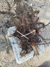 김종덕님의 작성글 사진