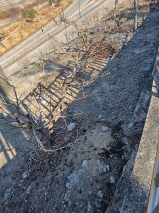 김용대님의 기타작물 · 영농일지 작성글 사진