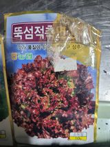 팜모닝 상추·영농일지 게시글 이미지