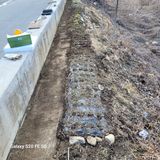 팜모닝 양파·영농일지 게시글 이미지