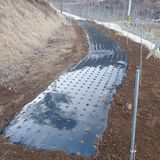 가로수님의 작성글 사진