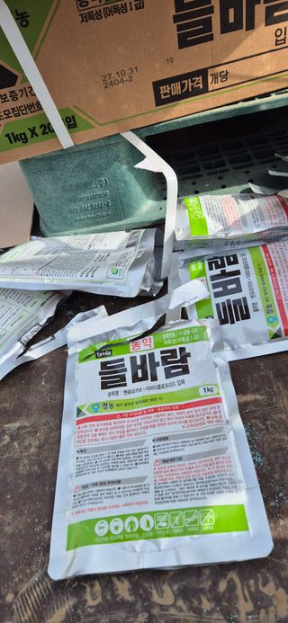 감자님의 감자 · 영농일지 작성글 사진