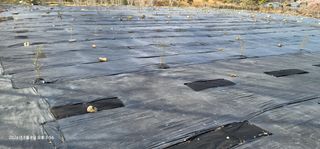 박종화님의 기타작물 · 영농일지 작성글 사진