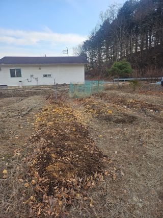 조정훈님의 기타작물 · 영농일지 작성글 사진