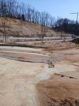 팜모닝 들깨·영농일지 게시글 이미지