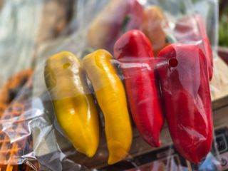 늘햇살팜 님의 작성글 사진