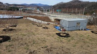 장정규님의 복숭아 · 영농일지 작성글 사진