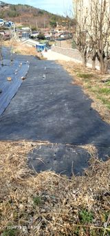 팜모닝 기타작물·영농일지 게시글 이미지