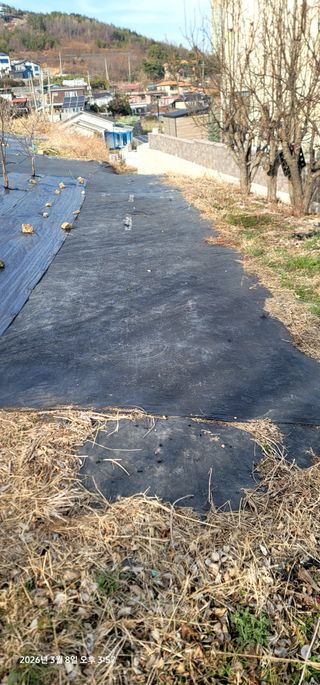 박종화님의 기타작물 · 영농일지 작성글 사진