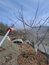 이한재님의 작성글 사진