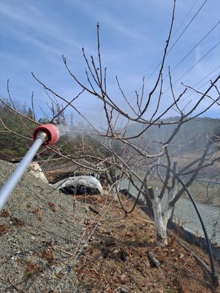 이한재님의 버섯 · 영농일지 작성글 사진
