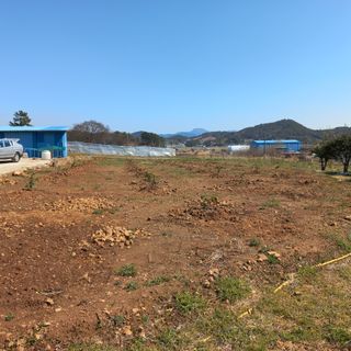 김건우님의 기타작물 · 영농일지 작성글 사진