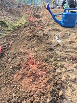 행복하게~님의 작성글 사진