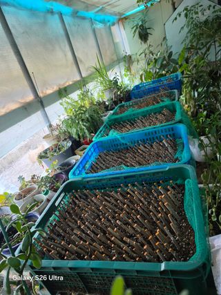 김종협님의 기타작물 · 영농일지 작성글 사진