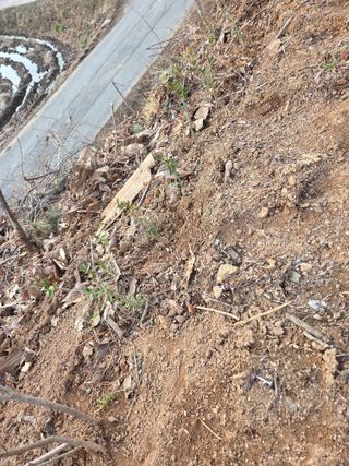 김연숙님의 기타작물 · 영농일지 작성글 사진