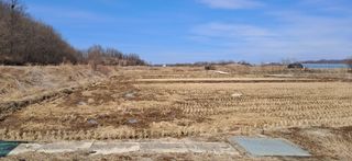 이복길님의 벼 · 영농일지 작성글 사진