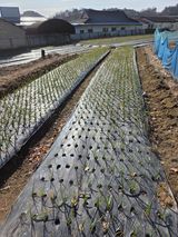 백현호님의 작성글 사진