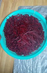 팜모닝 기타작물·영농일지 게시글 이미지