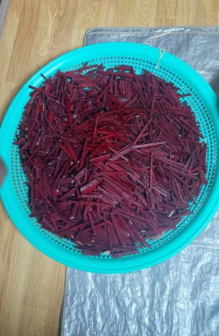 내장상동초보농부님의 기타작물 · 영농일지 작성글 사진