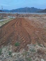 팜모닝 기타작물·영농일지 게시글 이미지