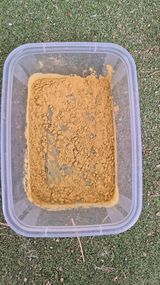 팜모닝 복숭아·영농일지 게시글 이미지