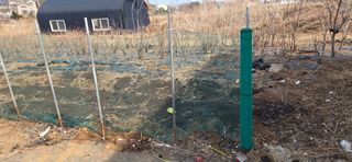 김성필님의 기타작물 · 영농일지 작성글 사진