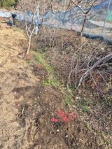 행복하게~님의 작성글 사진